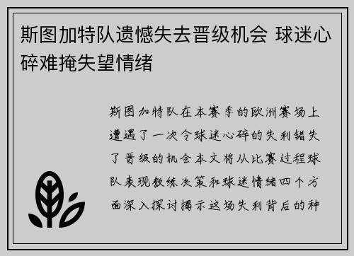 斯图加特队遗憾失去晋级机会 球迷心碎难掩失望情绪