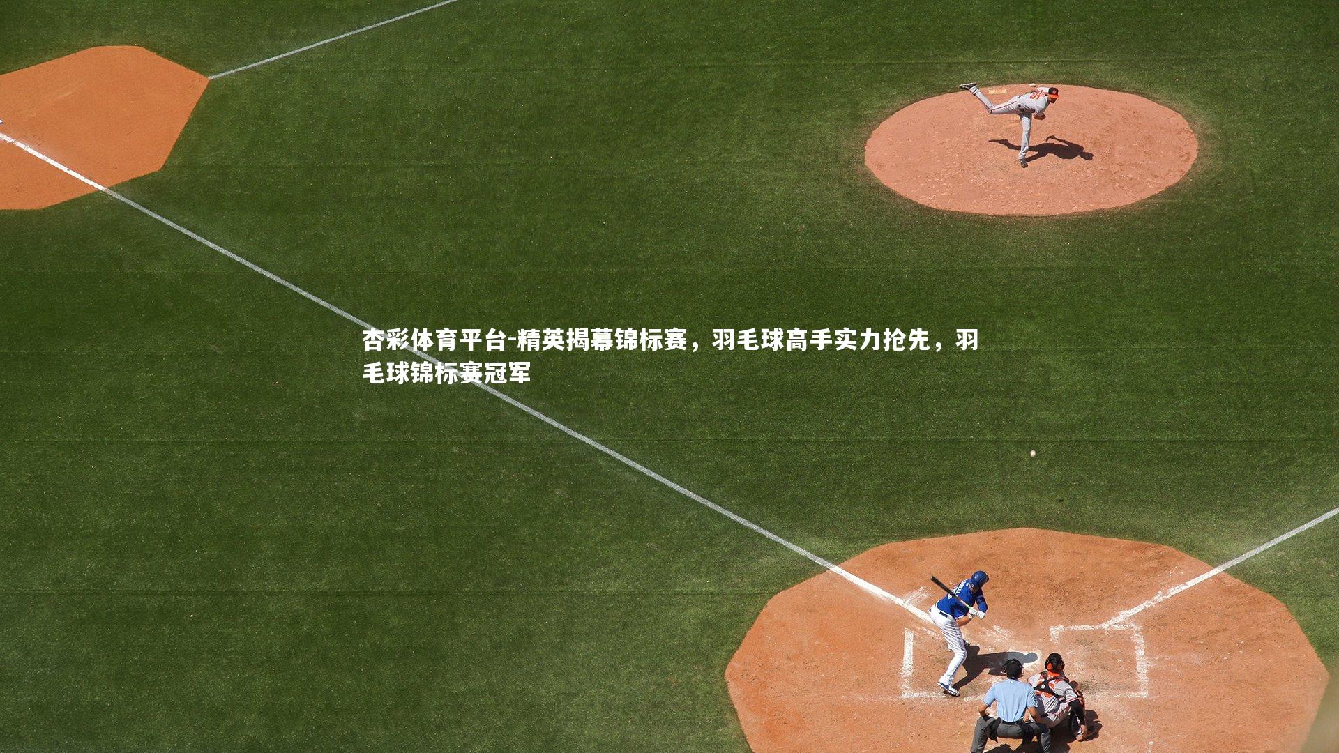 杏彩体育平台-精英揭幕锦标赛，羽毛球高手实力抢先，羽毛球锦标赛冠军