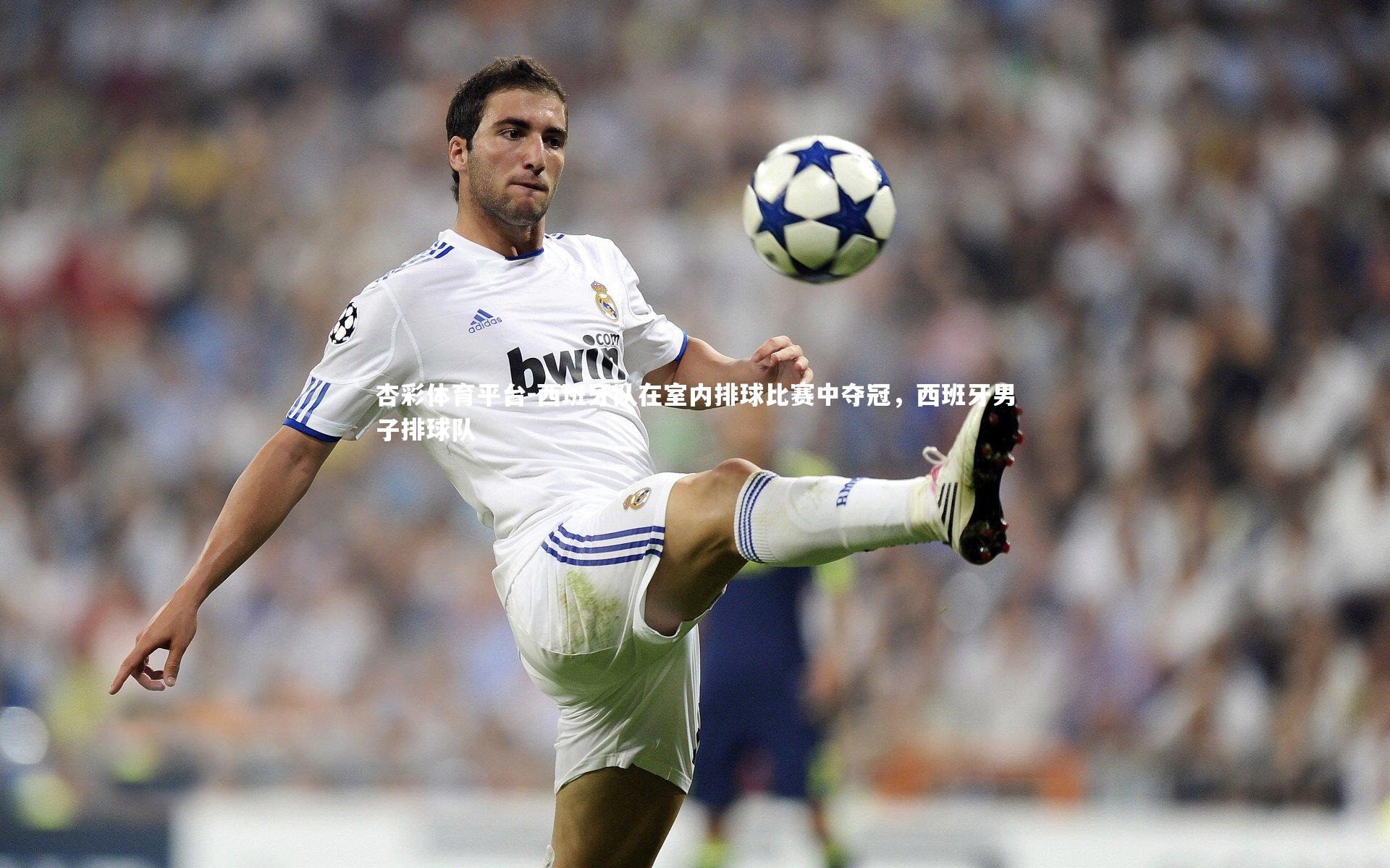西班牙队在室内排球比赛中夺冠，西班牙男子排球队