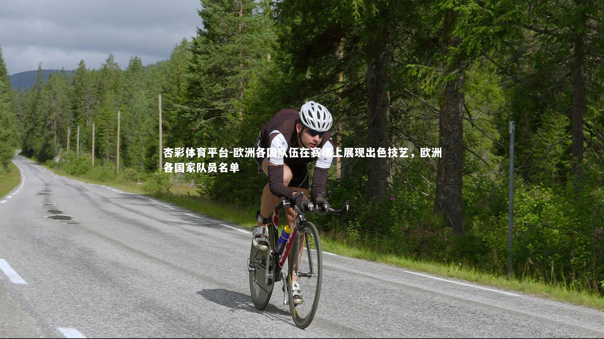 杏彩体育平台-欧洲各国队伍在赛场上展现出色技艺，欧洲各国家队员名单